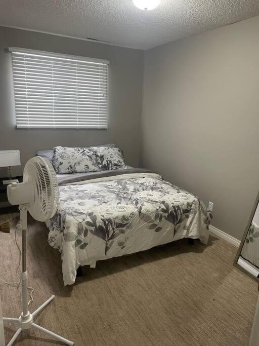 Wonderful 2-Bedroom Apartment Camrose Exterior photo